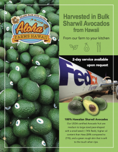 Buy bulk sharwil avocados product information cover 